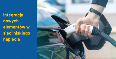 Integracja nowych elementów w sieci niskiego napięcia: rozproszona generacja , pojazdy elektryczne i pompy ciepła